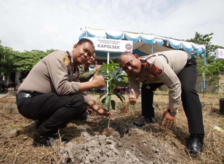 TANAM POHON : Kapolsek Tanjungberingin AKP Tobat Sihombing dan Kapolsek Perbaungan AKP S Gurusinga menanam pohon dalam rangka HUT ke-78 Bhayangkara, Kamis (27/6/2024). (Foto Dok/Humas Polres).