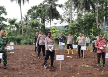 Polresta Manado menggelar serangkaian kegiatan yang meliputi penanaman pohon, program ketahanan pangan, dan pemberian beasiswa di Desa Pineleng Dua Indah, Kecamatan Pineleng, Kabupaten Minahasa. Kegiatan ini dihadiri oleh sejumlah pejabat utama Polresta Manado, serta masyarakat setempat, Kamis (27/6/2024).