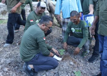 Pj Wali Kota Sabang Reza Fahlevi ikut melakukan penanaman nilam di Gampong Batee Shok, beberapa waktu lalu