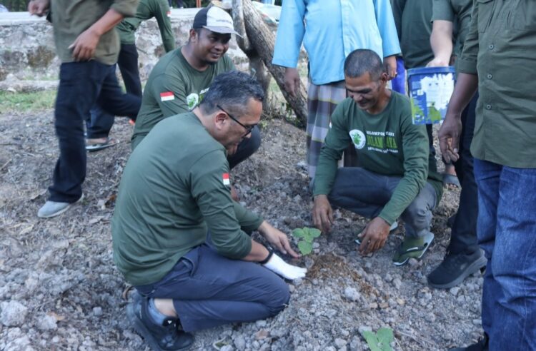 Pj Wali Kota Sabang Reza Fahlevi ikut melakukan penanaman nilam di Gampong Batee Shok, beberapa waktu lalu