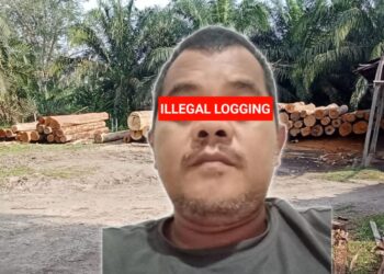 SOPHIAN sebagai ketua dari beberapa sawmil yang beroperasi di desa Siabu, Kecamatan Salo Kabupaten Kampar masih berani beraktifitas dengan mengolah kayu yang diduga secara ilegal. (Foto : Dok/Mitrapolri.com)