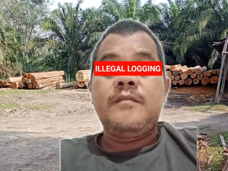 SOPHIAN sebagai ketua dari beberapa sawmil yang beroperasi di desa Siabu, Kecamatan Salo Kabupaten Kampar masih berani beraktifitas dengan mengolah kayu yang diduga secara ilegal. (Foto : Dok/Mitrapolri.com)