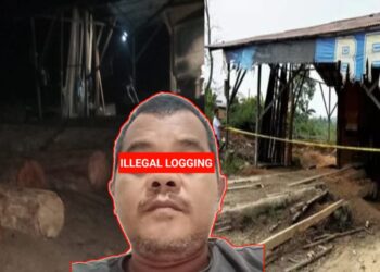 Sophian kembali berani beroperasi melakukan aktifitas pengolahan kayu ilegalnya pada Selasa 23/07/24 (foto kiri) - Sebelumnya sudah dipasang policeline di sawmil milik Sophian oleh Polres Kampar (foto kanan)