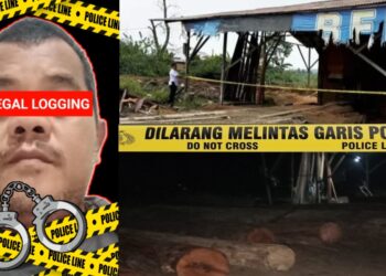 TANGKAP SOPHIAN : Foto Sophian Terduga Pelaku Illegal Logging di Desa Siabu, Kecamatan Salo, Kampar (kiri) - Foto Sawmill milik Sophian yang telah dipasangi policeline oleh Polres Kampar (kanan atas) - Foto saat sawmill Sophian beroperasi malam hari setelah dipasangi police line oleh Polres Kampar (kanan bawah) - Foto : Dok/Mitrapolri.com