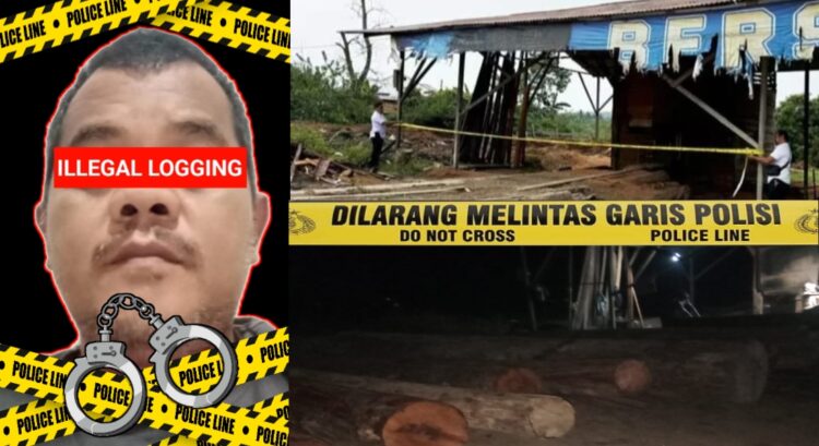 TANGKAP SOPHIAN : Foto Sophian Terduga Pelaku Illegal Logging di Desa Siabu, Kecamatan Salo, Kampar (kiri) - Foto Sawmill milik Sophian yang telah dipasangi policeline oleh Polres Kampar (kanan atas) - Foto saat sawmill Sophian beroperasi malam hari setelah dipasangi police line oleh Polres Kampar (kanan bawah) - Foto : Dok/Mitrapolri.com