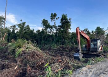 Investigasi Koalisi Selamatkan Lahan dan Hutan Aceh (KSLHA) ditemukan alat berat yang sedang membuka lahan di kawasan lindung gambut. Sejumlah kayu yang sudah ditebang ditumpuk menunggu diangkut ke luar hutan. Aktivitas perambahan hutan tersebut sudah berlangsung jangka waktu lama.