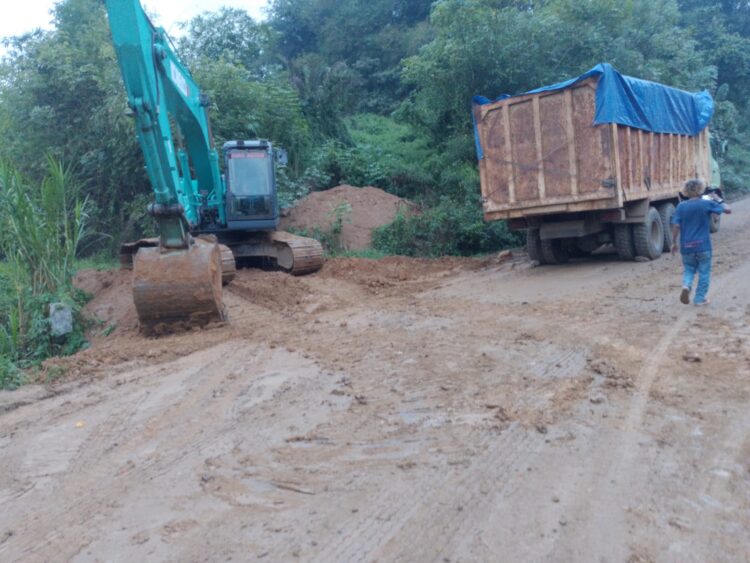 Aktivitas Galian C di Kecamatan Cariu Kabupaten Bogor yang diduga tidak mengantongi izin (foto Dok : RH/Mitrapolri.com)