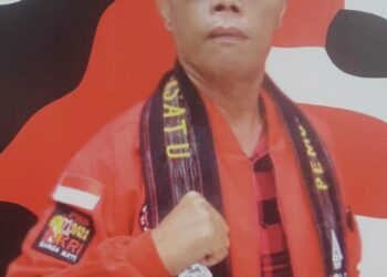 Dansatgas PBB DPD Sumut Armed Simbolon