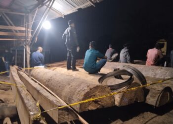 Penindakan Polres Kampar pada Sawmill terbesar di Kampar yang tidak miliki izin, diduga kayu Ilegal Logging yang berada di Desa Teratak Buluh, Kecamatan Siak Hulu, Kabupaten kampar, Selasa (23/7/2024) sekira pukul 21.15 Wib. Dari penangkapan itu berhasil diamankan 5 orang pekerja Sawmil yaitu diduga pelaku YU, IR, BU, MA dan AB. (Foto : Dok/Polres Kampar)