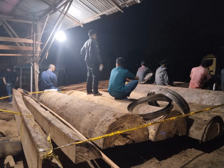 Penindakan Polres Kampar pada Sawmill terbesar di Kampar yang tidak miliki izin, diduga kayu Ilegal Logging yang berada di Desa Teratak Buluh, Kecamatan Siak Hulu, Kabupaten kampar, Selasa (23/7/2024) sekira pukul 21.15 Wib. Dari penangkapan itu berhasil diamankan 5 orang pekerja Sawmil yaitu diduga pelaku YU, IR, BU, MA dan AB. (Foto : Dok/Polres Kampar)