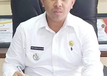 Camat kecamatan Suka makmue kabupaten Nagan Raya Said Mudhar