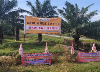 Lahan eks PTPN-2