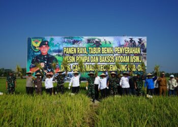 Dalam kunjungannya ke Kodim 0402/OKI Pangdam II/Sriwijaya Mayjen TNI Naudi Nurdika, S.I.P., M.Si., M.Tr.(Han) dan Danrem 044/Gapo Brigjen TNI M. Thohir, S.Sos., M.M., beserta rombongan melaksanakan Panen Raya Padi bertempat di Desa Cahaya Maju Kecamatan Lempuing Kabupaten OKI, Rabu (14/8/2024).