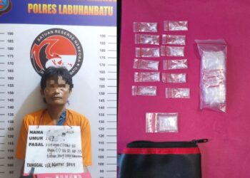 Pengungkapan kasus ini dipimpin oleh IPDA Rahmadhan Hilal dan berhasil menangkap seorang pelaku berinisial R alias Ucok Roy (42), pelaku seorang pria yang berdomisili di Kelurahan Padang Matinggi, Kecamatan Rantau Utara, Kabupaten Labuhanbatu.