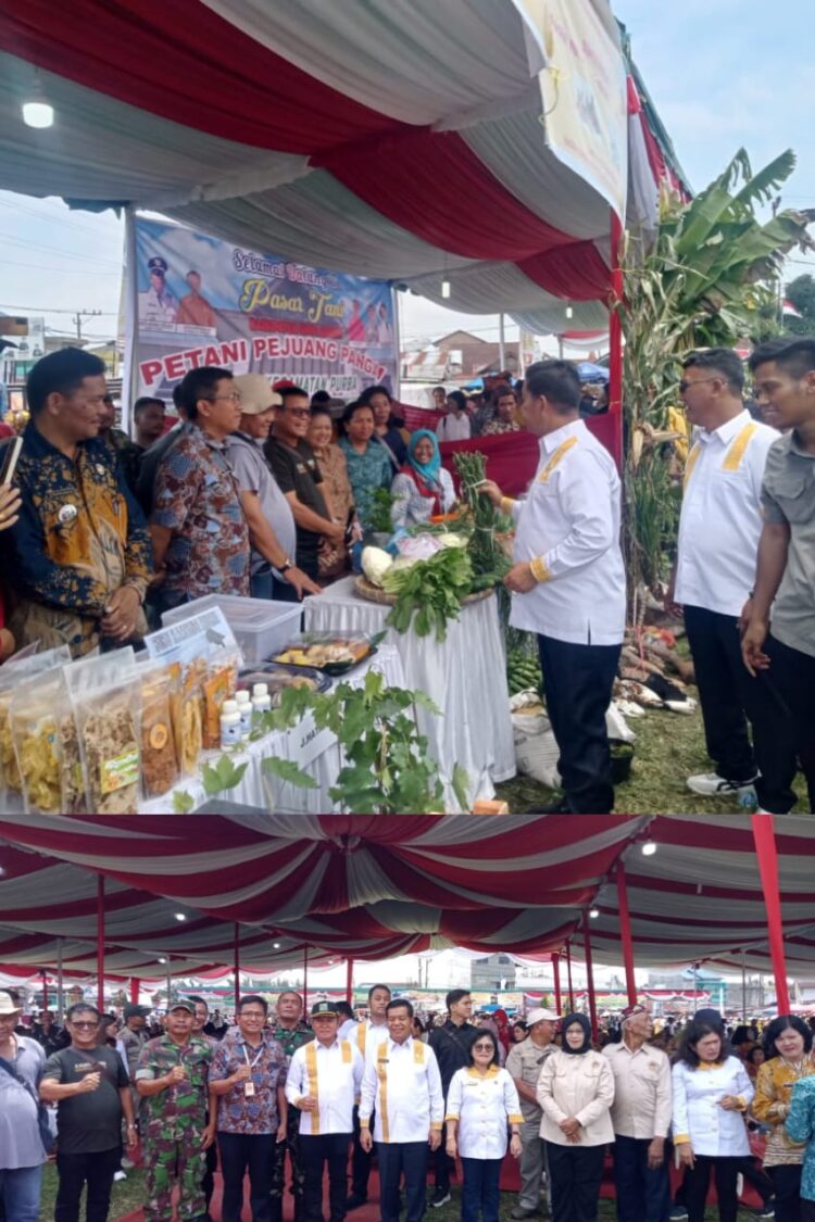 Pemerintah Kabupaten (Pemkab) Simalungun, bekerja sama dengan Kontak Tani Nelayan Andalan (KTNA), menggelar acara promosi pasar tani yang bertempat di Lapangan Sepak Bola Nagori Rambung Merah, Kecamatan Siantar Kabupaten Simalungun. Selasa, (03/09/2024).