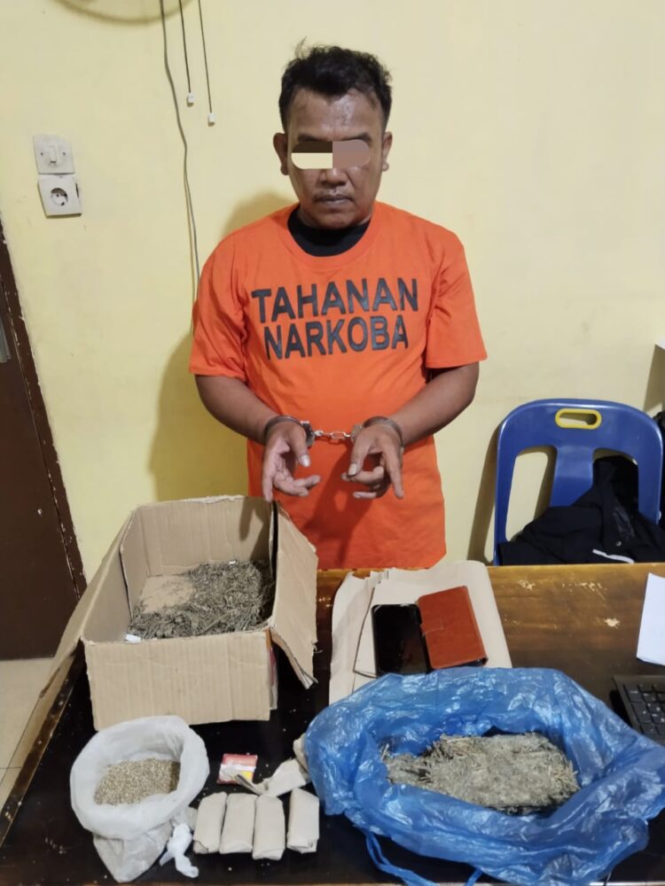 Identitas Terduga Penjual Narkotika Jenis Ganja yang sudah diamankan Sat Narkoba Polres Samosir yakni BS, Jenis Kelamin Laki-laki, umur 37 Tahuan, Pekerjaan Wiraswasta, Alamat Desa Pardomuan I Kecamatan Pangururan Kab. Samosir.