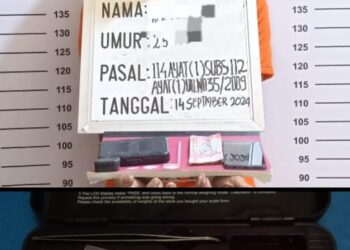 Pelaku berinsial PP alias Yuda (25), seorang pria warga Dusun Gunung Selamat, Desa Gunung Selamat, Kecamatan Bilah Hulu. Pelaku diduga kuat terlibat dalam peredaran narkoba jenis sabu di wilayah tersebut.