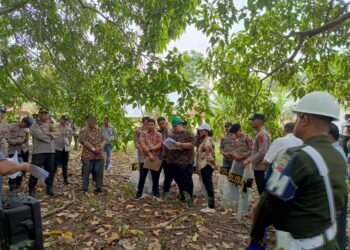 Polres Samosir dan Koramil Kabupaten Samosir melakukan pengamanan terhadap eksekusi lahan sengketa di Desa Sitolu Huta, Kecamatan Pangururan, Kabupaten Samosir. Eksekusi tersebut berjalan dengan aman dan tertib.