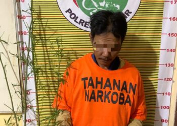 Tersangka yang ditangkap adalah MN (50), seorang warga Desa Tanjung Bunga. Ia ditangkap atas dugaan kepemilikan dan penanaman ganja. MN diduga melanggar Pasal 114 ayat (1) atau Pasal 111 ayat (1) UU RI No. 35 Tahun 2009 tentang Narkotika.