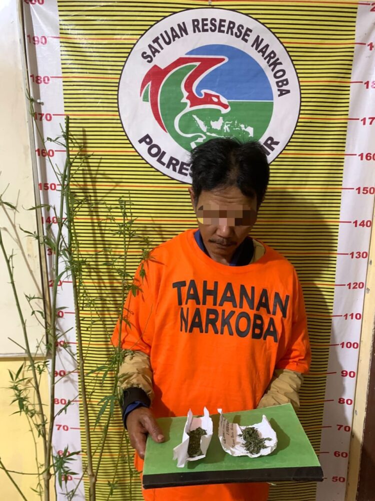 Tersangka yang ditangkap adalah MN (50), seorang warga Desa Tanjung Bunga. Ia ditangkap atas dugaan kepemilikan dan penanaman ganja. MN diduga melanggar Pasal 114 ayat (1) atau Pasal 111 ayat (1) UU RI No. 35 Tahun 2009 tentang Narkotika.