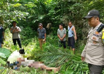 Polsek Pineleng segera mendatangi dan mengamankan lokasi kejadian kecelakaan kerja di kompleks perkebunan Pasung, Desa Warembungan, setelah menerima laporan adanya seorang pekerja yang meninggal dunia. Korban, Lk. Alvian Jibran Rori (41), seorang petani asal Desa Warembungan, terjatuh saat sedang memetik kelapa di kebun milik Lk. Novi Bawotong, Rabu (16/10/2024).
