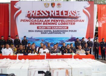 Tim Gabungan Bareskrim Polri bersama Kanwilsus DJBC Kepri, dan Lantamal IV Batam berhasil menggagalkan upaya penyelundupan benih bening lobster yang yang terjadi di Perairan Berakit, Kabupaten Bintan, Kepulauan Riau. Hal ini disampaikan oleh Dirtipidter Bareskrim Polri Brigjen Pol Nunung Syaifuddin, S.I.K., M.M., didampingi Kakanwil DJBC khusus Kepri Adhang Noegroho Adhi, pada saat konferensi Pers di Kantor DJBC Khusus Kepri Kabupaten Karimun. Kamis (17/10/2024).