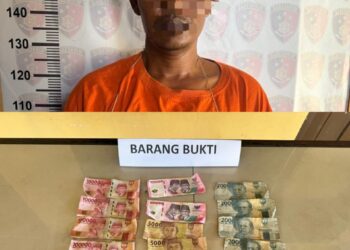Unit Reskrim Polsek Bilah Hilir di bawah pimpinan Kanit Reskrim IPDA Rico Marthin Sihombing, S.H., berhasil mengamankan satu orang pelaku tindak pidana pencurian dengan kekerasan. Pelaku yang diamankan berinisial PA, alias Punuk (40), warga Dusun Kampung Jawa, Desa Sei Tarolat, Kecamatan Bilah Hilir, Kabupaten Labuhanbatu.