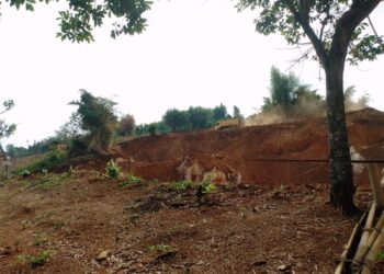 Hektaran Tanah Galian C terhampar di Kabupaten Bogor, Surganya para mafia mengaruk KEUNTUNGAN (Foto. Dok: RH/Mitrapolri.com.29/10/2024)