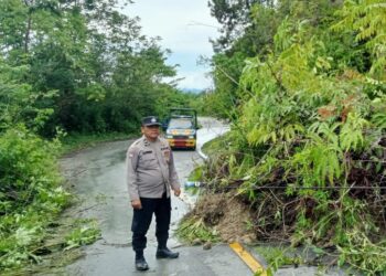 Personel Polsek Onanrunggu Polres Samosir melakukan cek tempat kejadian perkara (TKP) gangguan alam berupa pohon tumbang dan tanah longsor yang mengganggu aktivitas warga di Desa Tambun Sukean dan Desa Janji Matogu Kecamatan Onanrunggu Kabupaten Samosir