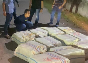 DITANGKAP: Dua pelaku narkoba ditangkap Pokda Sumut dengan barang bukti 272 Kilogram ganja dalam 11 goni di di Jalan Thamrin, Pangkalan Brandan, Kecamatan Babalan Kabupaten Langkat, Sumatera Utara pada Sabtu (9/11/2024) dini hari. (Foto Dok/ Polda Sumut)