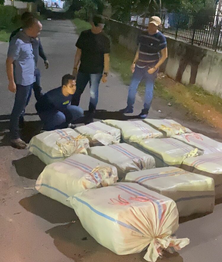 DITANGKAP: Dua pelaku narkoba ditangkap Pokda Sumut dengan barang bukti 272 Kilogram ganja dalam 11 goni di di Jalan Thamrin, Pangkalan Brandan, Kecamatan Babalan Kabupaten Langkat, Sumatera Utara pada Sabtu (9/11/2024) dini hari. (Foto Dok/ Polda Sumut)