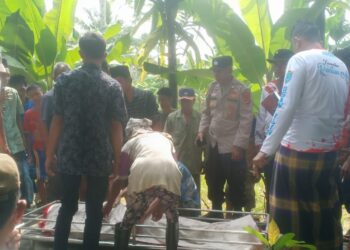 Warga Desa Sanding Marga, Kecamatan Rantau Alai, Kabupaten Ogan Ilir, digegerkan dengan penemuan mayat seorang pria lanjut usia di pinggir jalan menuju kebun, Dusun III, Desa Sanding Marga, Senin (11/11/24) pagi.