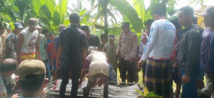 Warga Desa Sanding Marga, Kecamatan Rantau Alai, Kabupaten Ogan Ilir, digegerkan dengan penemuan mayat seorang pria lanjut usia di pinggir jalan menuju kebun, Dusun III, Desa Sanding Marga, Senin (11/11/24) pagi.