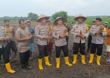 Polres Ogan Ilir melaksanakan kegiatan penanaman singkong di lahan milik personel Polres Ogan Ilir. Kegiatan ini dilakukan pada Senin sore, 11 November 2024, di lahan seluas 40 hektar yang terletak di wilayah Ogan Ilir, Sumatera Selatan. Penanaman singkong ini bertujuan untuk memperkuat ketahanan pangan di tingkat lokal, serta mendukung visi Indonesia Emas 2045.