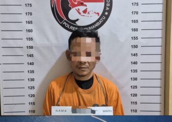 Tersangka, WW alias Wahyu (42), ditangkap pada Minggu malam, (10/11/2024), di sebuah rumah di Jl. Siringo-Ringo, Gg. Manggis, Kelurahan Sirandorung, Kecamatan Rantau Utara, Kabupaten Labuhanbatu.