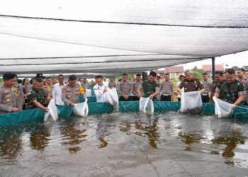 LEPAS BENIH LELE: Kapolda Sumut Irjen Pol Whisnu Hermawan, Kajati Sumut Idianto, Kasdam I Bukit Barisan Brigjen TNI Refrizal, Pj Gubernur Sumut Agus Fatoni, Wakapolda Sumut Brigjen Pol Rony Samtana melepas benih ikan lele, Rabu (20/11/2024). (Foto Dok/ Polda Sumut)