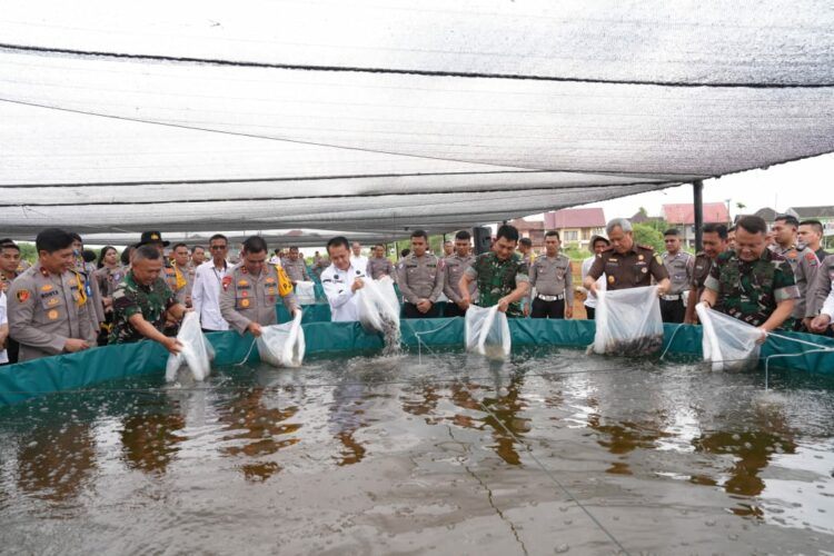 LEPAS BENIH LELE: Kapolda Sumut Irjen Pol Whisnu Hermawan, Kajati Sumut Idianto, Kasdam I Bukit Barisan Brigjen TNI Refrizal, Pj Gubernur Sumut Agus Fatoni, Wakapolda Sumut Brigjen Pol Rony Samtana melepas benih ikan lele, Rabu (20/11/2024). (Foto Dok/ Polda Sumut)