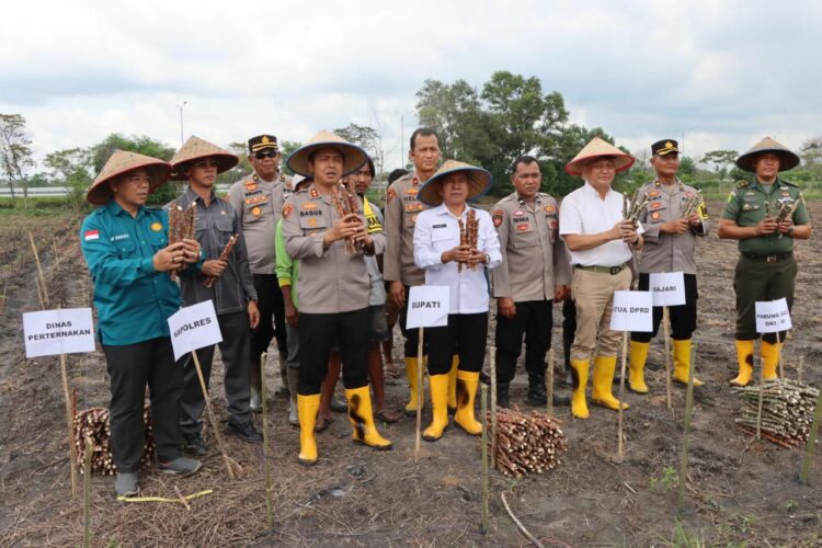 Polres Ogan Ilir beserta jajaran Polsek di wilayah hukum Ogan Ilir melaksanakan serangkaian kegiatan penanaman bibit pangan secara serentak pada Rabu, 20 November 2024. Kegiatan ini bertujuan untuk meningkatkan ketahanan pangan serta mempererat sinergitas antara Polri, pemerintah daerah, dan masyarakat.