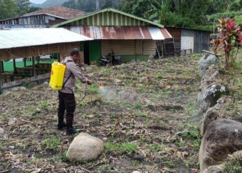 Brigadir Polisi (BrigPol) JF Sinurat, personel Bhabinkamtibmas dari Polsek Harian Polres Samosir, melaksanakan kegiatan lapangan dan pendataan di Desa Binaan Turpuk Sihotang Kecamatan Harian Kabupaten Samosir. Kegiatan ini bertujuan mendorong pemanfaatan lahan kosong yang dimiliki warga untuk meningkatkan ketahanan pangan di wilayah tersebut.