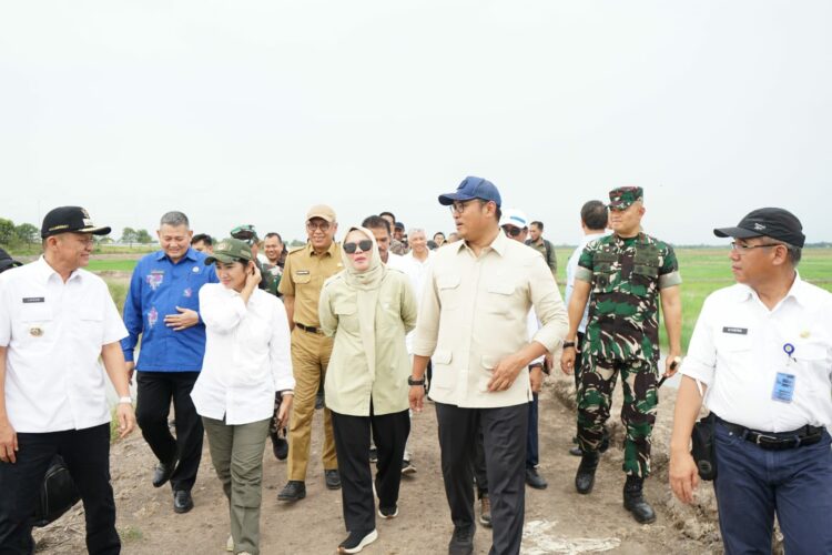 Wakil Menteri Pertanian (Wamentan) Republik Indonesia Sudaryono, B. ENG., M.M, MBA melaksanakan kunjungan kerja dalam rangka percepatan opla dan cetak sawah di wilayah Provinsi Sumatera Selatan, tepatnya di Desa Arisan Jaya Kecamatan Pemulutan Kabupaten Ogan Ilir, Selasa (3/12/2024).