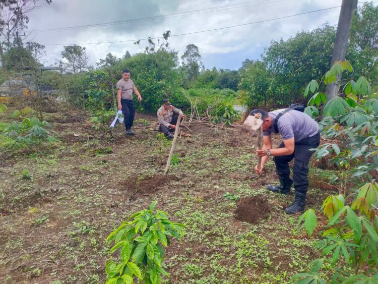 Polsek Pangururan mengambil langkah nyata membantu warga di Desa Sijambur Kecamatan Ronggurnihuta Kabupaten Samosir. Kapolsek Pangururan IPTU Bangun Tua Dalimunthe bersama anggotanya turun langsung ke lapangan untuk mempersiapkan lubang tanam di lahan milik Bapak Ara Simbolon.