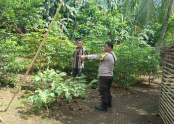 Polsek Wori melalui Bhabinkamtibmas AIPDA Felix Nontah menggelar kegiatan sambang kepada masyarakat Desa Lansa, tepatnya di Jaga 2, yang dipimpin oleh Bapak Abner, Selasa (10/12/2024).