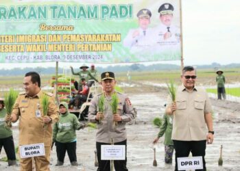 Gugus Tugas Ketahanan Pangan Polri melakukan penanaman padi serentak di Desa Kentong, Kecamatan Cepu, Blora, Jawa Tengah, Senin (10/12/24).