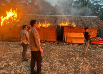 BAKAR BARAK NARKOBA: Tim gabungan TNI-Polri bakar barak narkoba, Kamis (19/12/2024). (Foto Dok/ Polda Sumut)