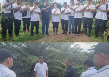 SEVP Operation I PTPN IV Regional II, Arief Subhan Siregar melaksanakan kunjungan kerja dan pengawalan produksi ke Kebun dan Pabrik Pulu Raja yang terletak di Kabupaten Asahan, Sumatera Utara. Dalam kunjungannya, Arief Subhan Siregar meninjau berbagai peluang produksi yang masih dapat dimaksimalkan hingga tutup tahun 2024