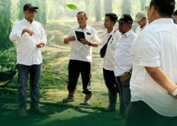 Direktur Operasional PTPN IV PalmCo, Rizal H. Damanik, melakukan kunjungan kerja ke Kebun dan Pabrik Kelapa Sawit Bah Jambi yang terletak di Kabupaten Simalungun, Sumatera Utara. Beliau didampingi oleh SEVP Operation I PTPN IV Regional II, Arief Subhan Siregar, SEVP Operation II PTPN IV Regional II Dedy Gurning, serta Manajer Kebun Bah Jambi, M. Reza Haris Siregar, dan Manajer PKS Bah Jambi, Dison M.P. Girsang.