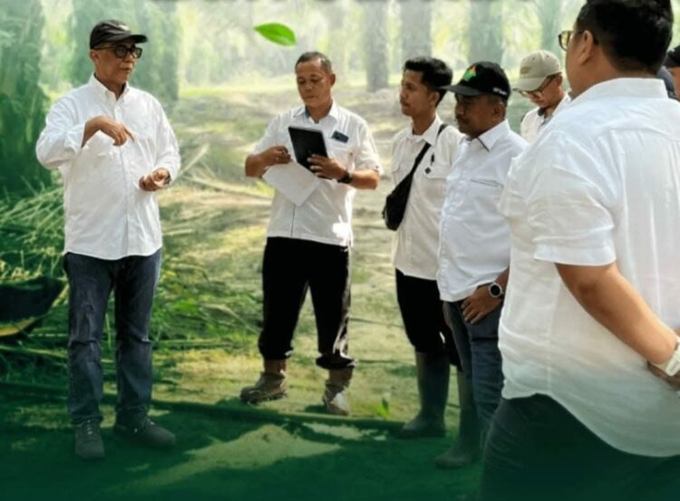 Direktur Operasional PTPN IV PalmCo, Rizal H. Damanik, melakukan kunjungan kerja ke Kebun dan Pabrik Kelapa Sawit Bah Jambi yang terletak di Kabupaten Simalungun, Sumatera Utara. Beliau didampingi oleh SEVP Operation I PTPN IV Regional II, Arief Subhan Siregar, SEVP Operation II PTPN IV Regional II Dedy Gurning, serta Manajer Kebun Bah Jambi, M. Reza Haris Siregar, dan Manajer PKS Bah Jambi, Dison M.P. Girsang.