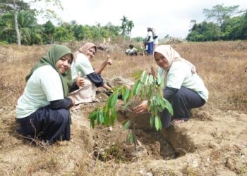 PT Bara Energi Lestari (BEL) Site Nagan Raya, Aceh menanam ratusan pohon disekeliling kantor, di Desa Seumambek, Kecamatan Suka Makmue, Nagan Raya, Selasa, 24 Desember 2024.