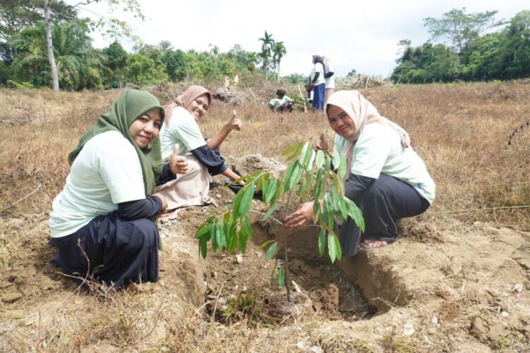 PT Bara Energi Lestari (BEL) Site Nagan Raya, Aceh menanam ratusan pohon disekeliling kantor, di Desa Seumambek, Kecamatan Suka Makmue, Nagan Raya, Selasa, 24 Desember 2024.
