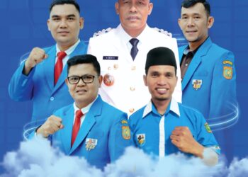 Dewan Pengurus Daerah Komite Nasional Pemuda Indonesia Kota Subulussalam